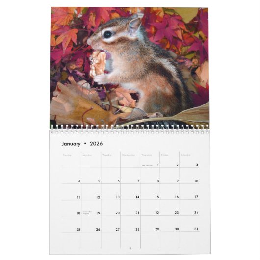Calendrier Mural chipmunk,Squirrel,photo,calendar (Jan 2026)