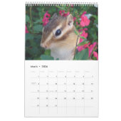 Calendrier Mural chipmunk's calendar  (All countries) (Mar 2026)