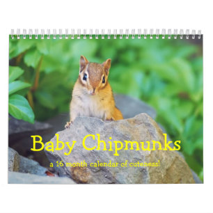 Calendrier Mural Chipmunks pour bébés 2013/2014 (calendrier de 16