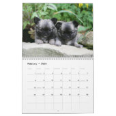 Calendrier Mural Chiwawa (Feb 2026)