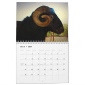Calendrier Mural Chose sauvage 2014 (Mar 2027)