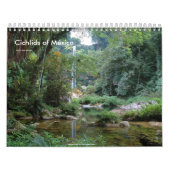 Calendrier Mural Cichlids du Mexique (Protection)