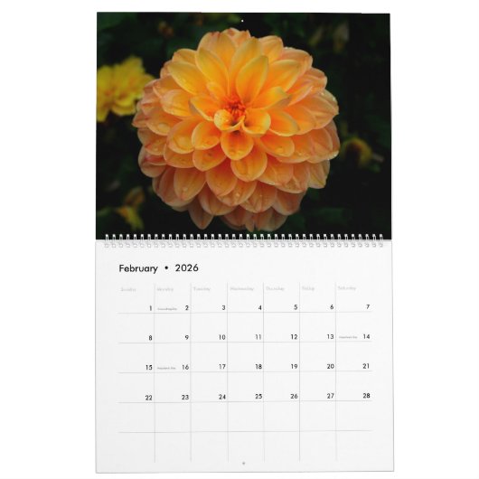 Calendrier Mural Close up (Feb 2026)