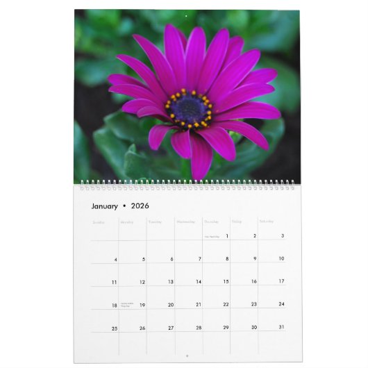 Calendrier Mural Close up (Jan 2026)