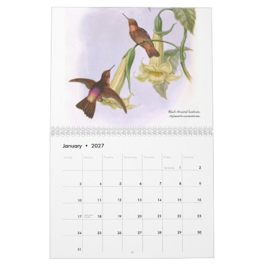 Calendrier Mural Colibris 2015 de John Gould (Jan 2027)