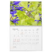 Calendrier Mural Colibris toute l'année (Feb 2027)