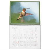 Calendrier Mural Colibris toute l'année (Jan 2027)