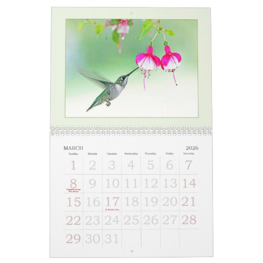 Calendrier Mural Colibris toute l'année (Mar 2026)