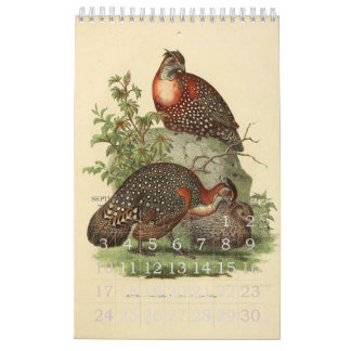 Calendrier Mural Collection vintage d'illustration d'oiseaux