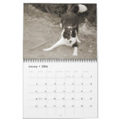 Calendrier Mural Colleys de frontière en abondance (Jan 2026)