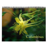 Calendrier Mural Colonnes (Protection)