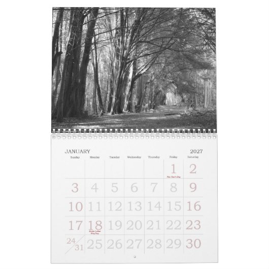 CALENDRIER MURAL COMME L'OEIL LE VOIENT ! (Jan 2027)