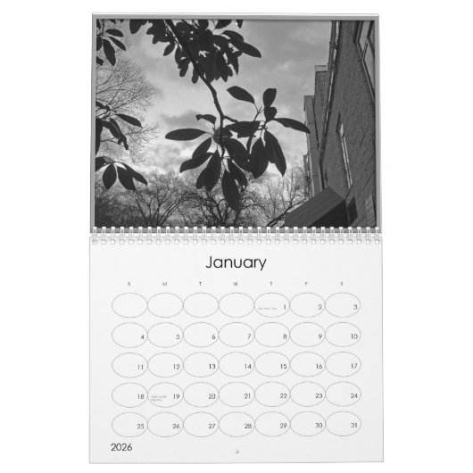 Calendrier Mural concis (photographie noire et blanche d'alanart) (Jan 2026)