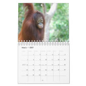 Calendrier Mural Conservation de faune d'orang-outan de Krista (Mar 2027)