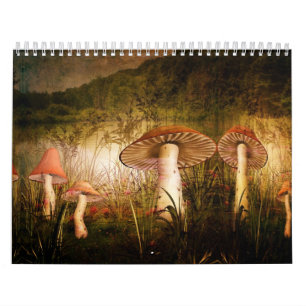 Calendrier Mural Contact de Calendrier-Un de magie
