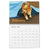 Calendrier Mural Corgis sur le mettre 2013 (Feb 2027)