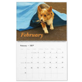 Calendrier Mural Corgis sur le mettre 2014 (Feb 2027)