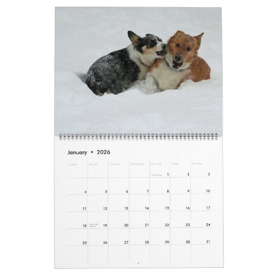 Calendrier Mural Corgis sur le mettre 2014 (Jan 2026)