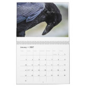 Calendrier mural Corvidtopia Raven 2025 (Jan 2027)