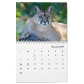 Calendrier mural Cougars (Feb 2027)