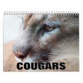 Calendrier mural Cougars (Protection)