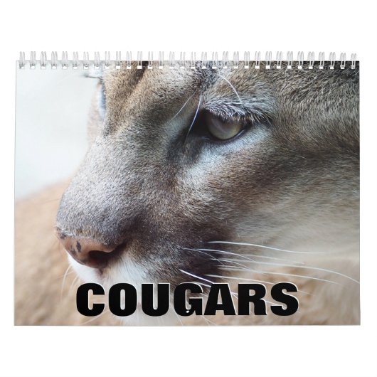 Calendrier mural Cougars (Protection)