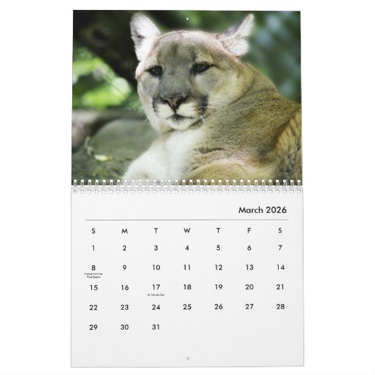 Calendrier mural Cougars (Mar 2026)
