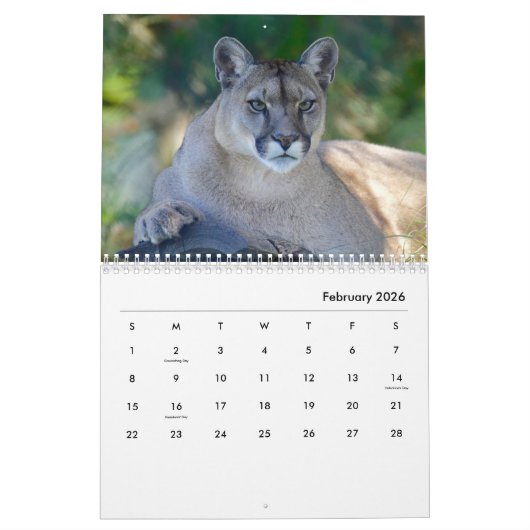 Calendrier mural Cougars (Feb 2026)