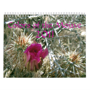 Calendrier Mural Couleurs du Mojave 2011