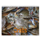 Calendrier Mural Crabes (calendrier 2010) (Protection)