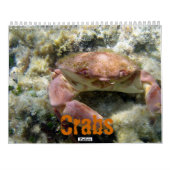 Calendrier Mural Crabes (calendrier 2010) (Dos)