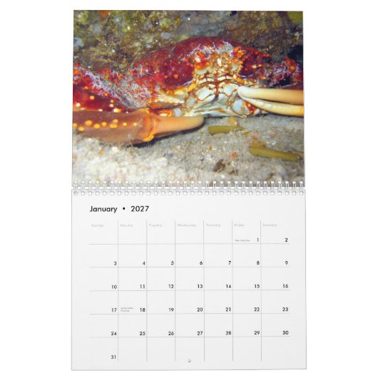 Calendrier Mural Crabes (calendrier 2010) (Jan 2027)