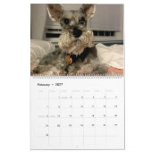 Calendrier Mural Craignez la barbe : Édition de Schnauzer (Feb 2027)