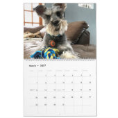 Calendrier Mural Craignez la barbe : Édition de Schnauzer (Mar 2027)