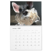 Calendrier Mural Craignez la barbe : Édition de Schnauzer (Jan 2027)