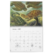 Calendrier Mural Créatures marines vintages et faune marine (Jan 2027)