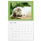 Calendrier Mural Créez vos propres photos d'animal familier et (Mar 2026)