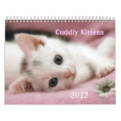 Calendrier Mural Cuisineux chatons (Protection)