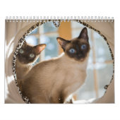 Calendrier Mural Curiosité (Protection)