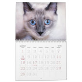 Calendrier Mural Curiosité (Mar 2026)