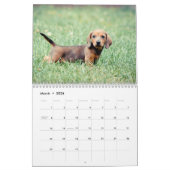 Calendrier Mural Dachshunds 2015 (Mar 2026)