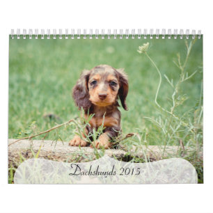Calendrier Mural Dachshunds 2015