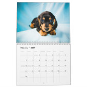 Calendrier Mural Dachshunds 2015 (Feb 2027)