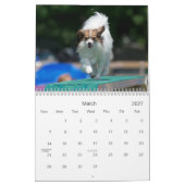 Calendrier mural d'agilité de Papillons (Mar 2027)