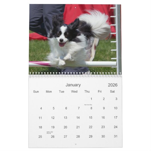 Calendrier mural d'agilité de Papillons (Jan 2026)