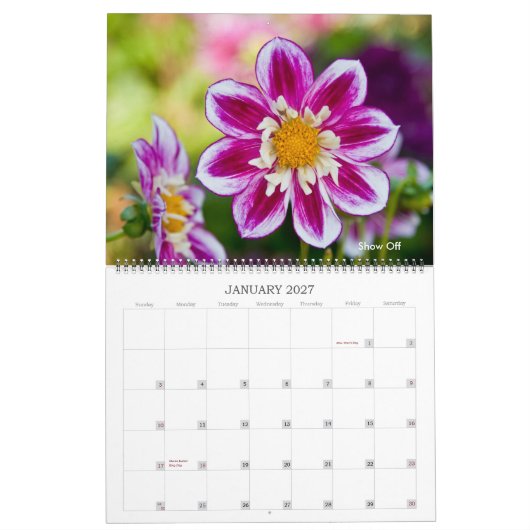 Calendrier Mural Dahlias (Jan 2027)