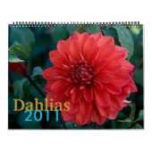 Calendrier Mural Dahlias (Protection)