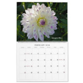 Calendrier Mural Dahlias (Feb 2026)