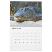 Calendrier mural d'alligators (Feb 2026)
