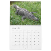 Calendrier mural d'alligators (Jan 2026)